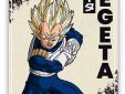 Dragon Ball Z magneet Vegeta