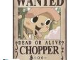 One Piece chibi poster set Wanted Brook & Chopper