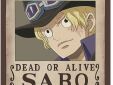 One Piece chibi poster set Wanted Portgas & Sabo