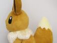Pokemon pluche All Star collection Eevee