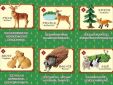 Re-Ment Evergreen Forest Animals complete set