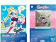 Sailor Moon acryl XXL Sailor Moon met Luna
