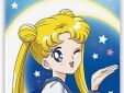 Sailor Moon magneet