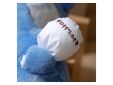 Studio Ghibli My Neighbor Totoro pluche Blue Totoro