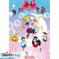 Sailor Moon poster Moonlight power