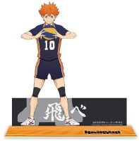 Haikyu!! acryl Hinata