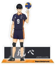 Haikyu!! acryl Kageyama