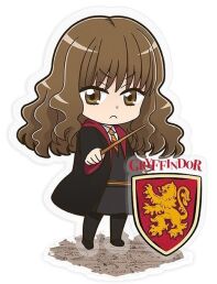 Harry Potter acryl Hermione space oddity amsterdam