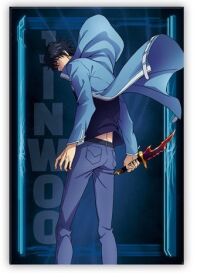 Solo Leveling magneet Jinwoo