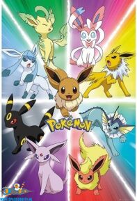 Pokemon poster Eevee evolutions