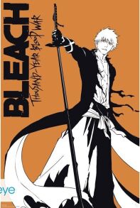Bleach poster Ichigo