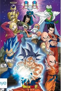 Dragon Ball Super poster Universe 7