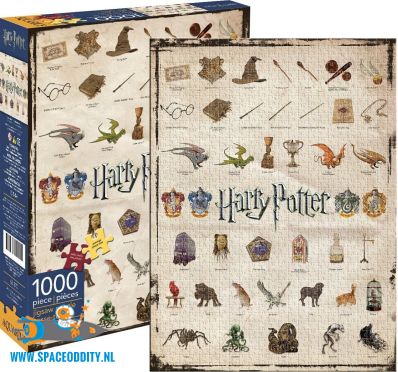 Harry Potter puzzel magische voorwerpen