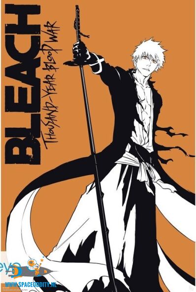 Bleach poster Ichigo